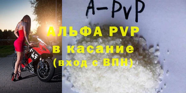 ешки Белокуриха